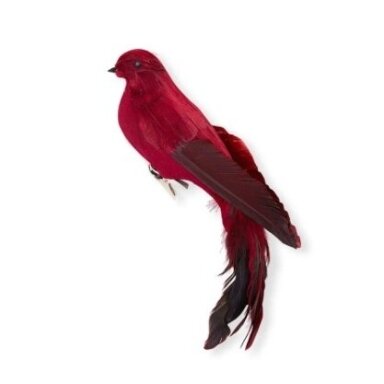 „Feather Bird red small“ dekoratyvus plunksnų paukštis „Feather Bird red small“ dekoratyvus plunksnų paukštis